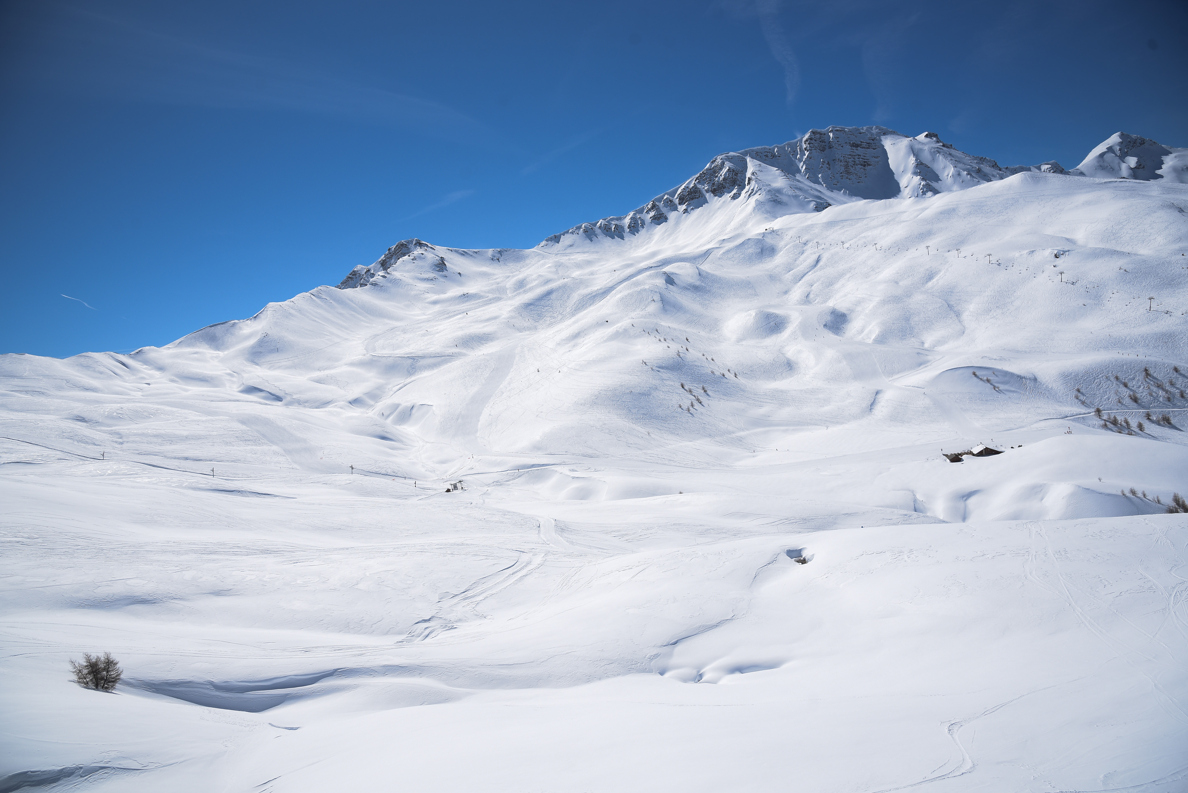 Domaine skiable paysage , neige , Risoul 1850, la forêt blanche  - © oT RISOUL