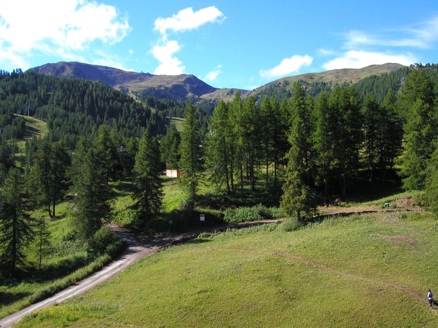 Cession méditation & ressourcement énergétique en nature avec Kamila_Risoul Cession méditation & ressourcement énergétique en nature avec Kamila_Risoul