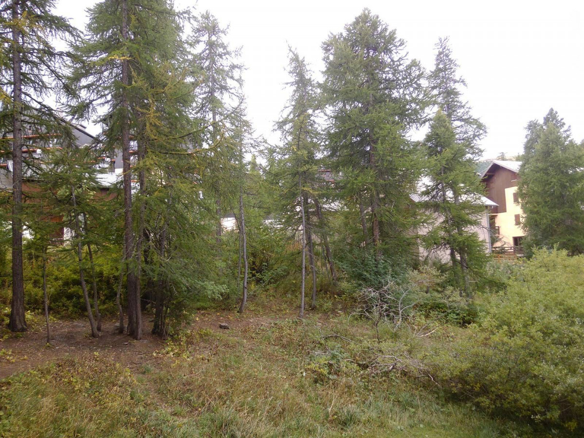 _clients_210560001_photos_10398l_2708536