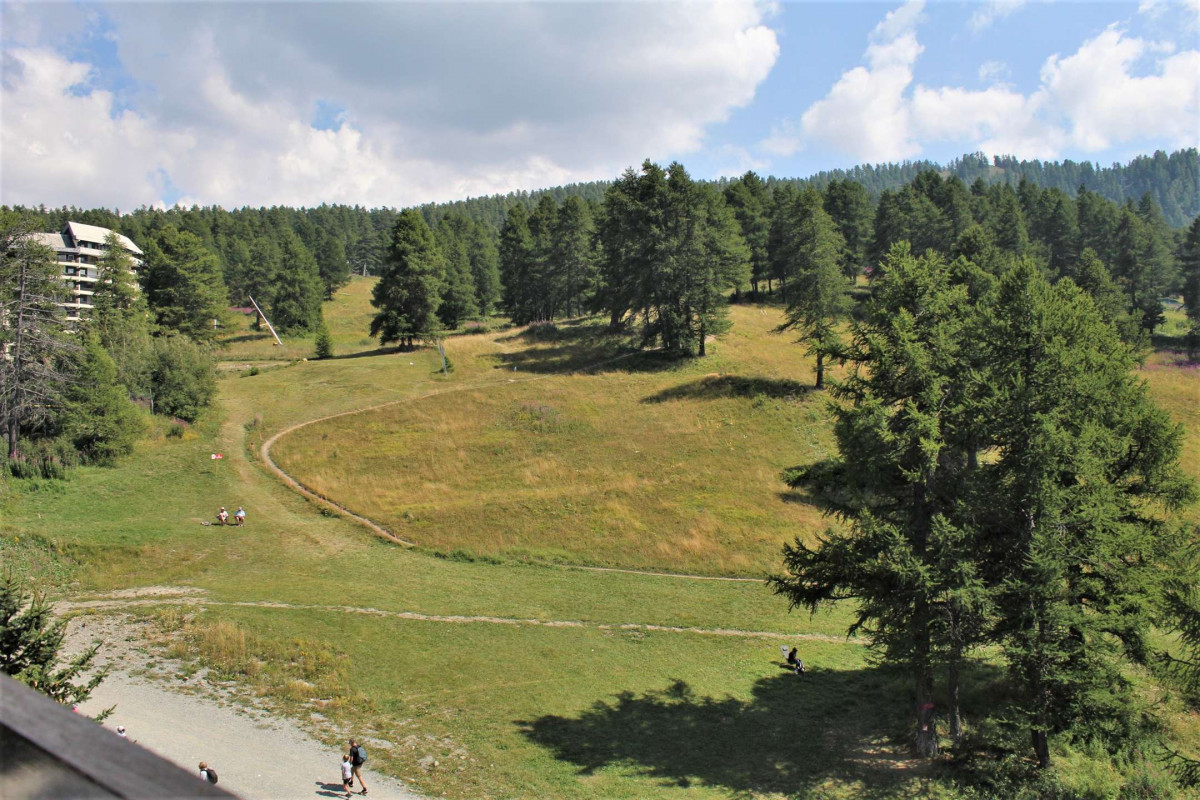 _clients_210560001_photos_10426q_2293643 _clients_210560001_photos_10426q_2293643