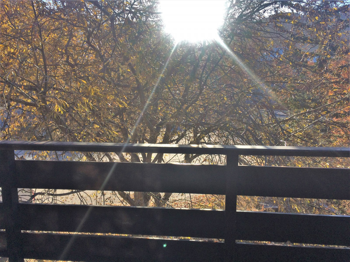 _clients_210560001_photos_10540o_2908110