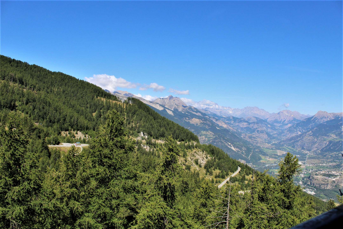 _clients_210560001_photos_10716o_2255878 _clients_210560001_photos_10716o_2255878