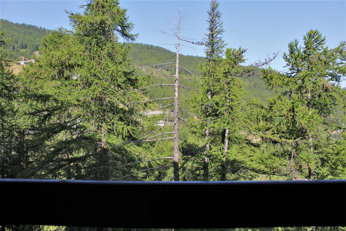 _clients_210560001_photos_10770o_2685556