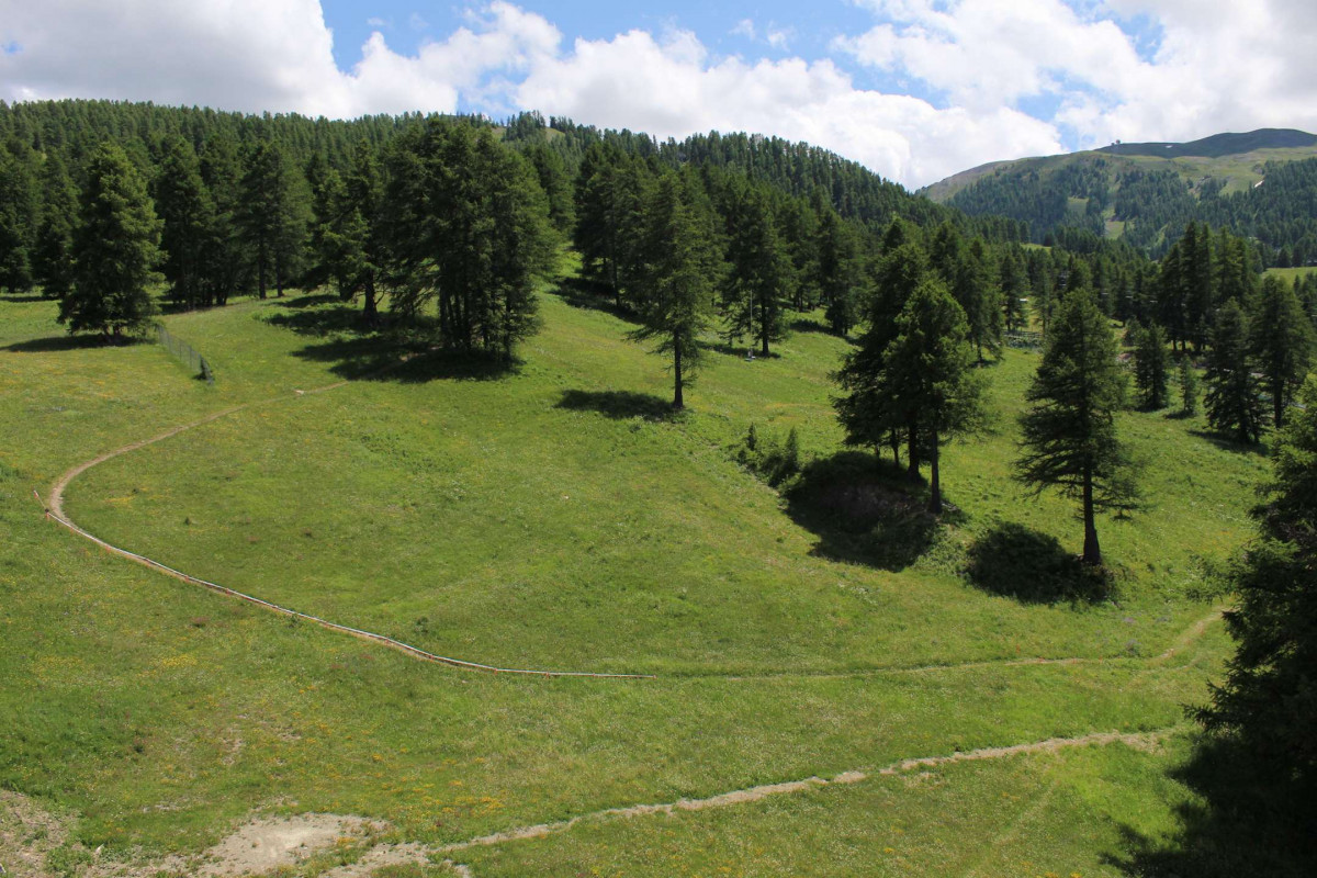 _clients_210560001_photos_11068m_2316394 _clients_210560001_photos_11068m_2316394