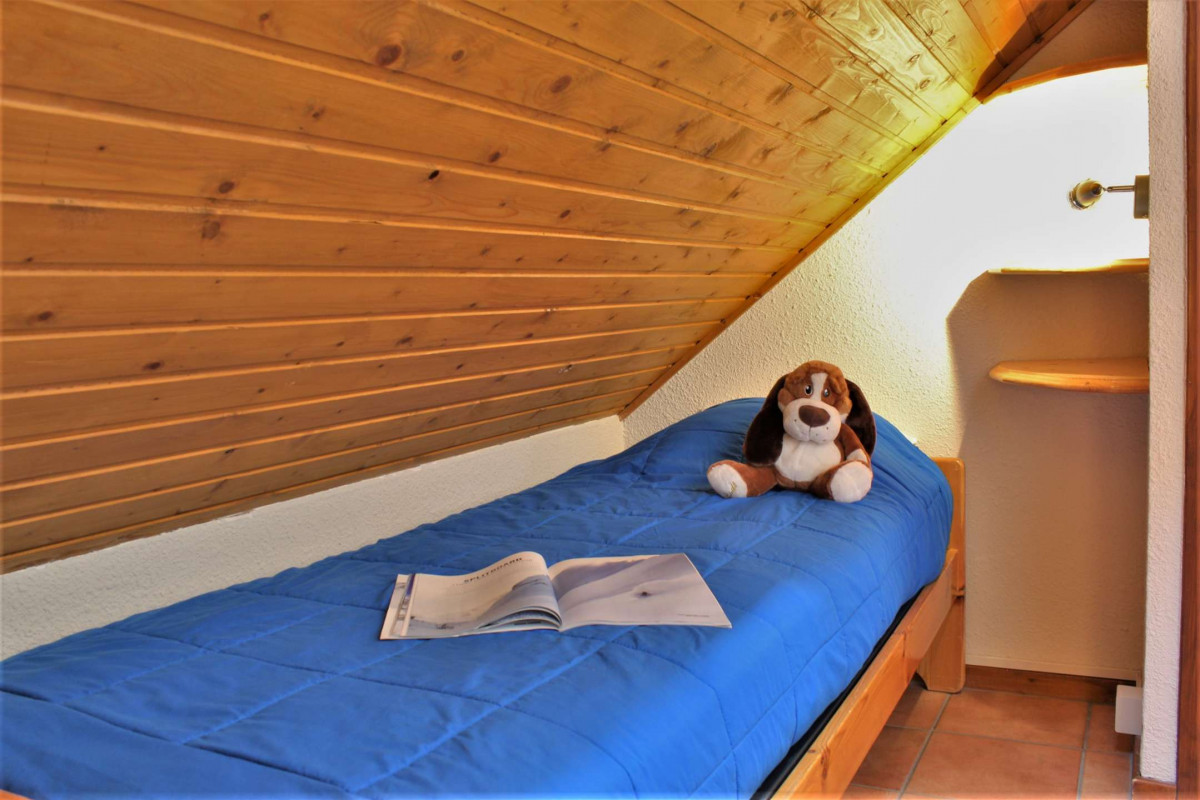 _clients_210560001_photos_11068r_2311986 _clients_210560001_photos_11068r_2311986