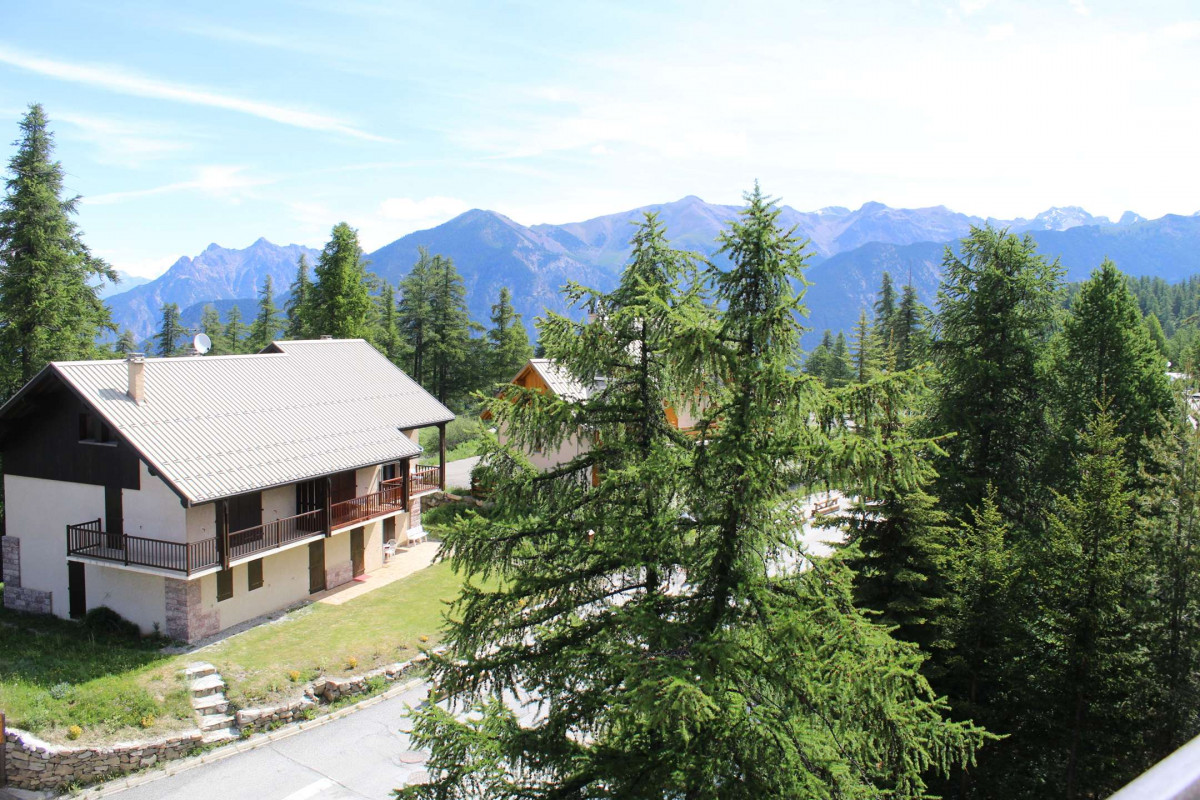 _clients_210560001_photos_13118q_2797265 _clients_210560001_photos_13118q_2797265