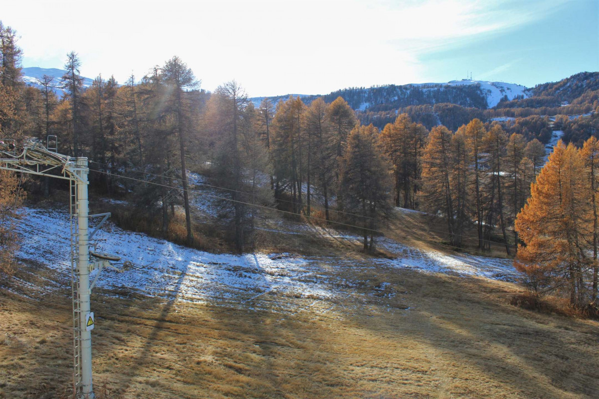 _clients_210560001_photos_15409l_2681224