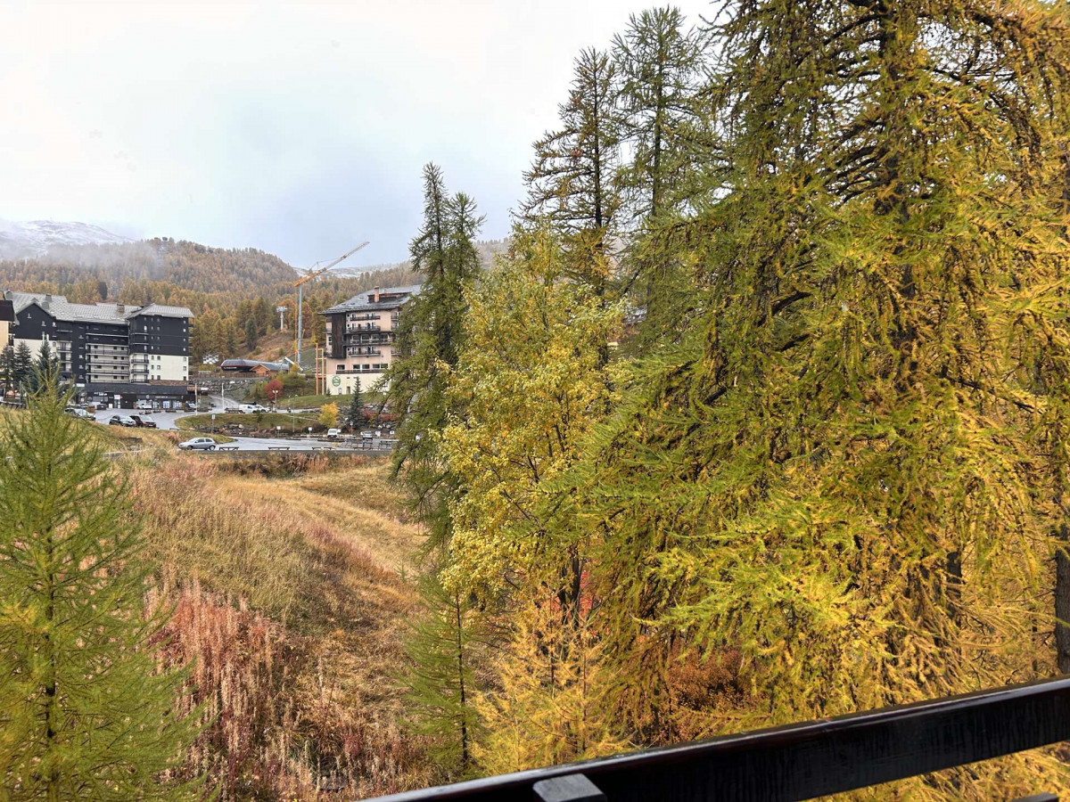 _clients_210560001_photos_26271l_2503319 _clients_210560001_photos_26271l_2503319