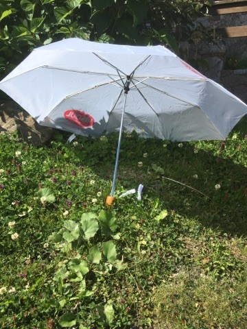 parapluie-risoul-15487