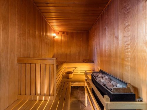 risoul-hebergement-martinelli-deneb27-sauna-3263667