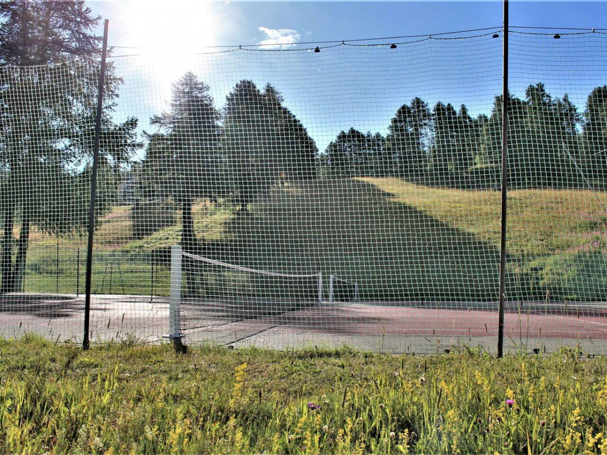 tennis-3050295 tennis-3050295