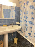 risoul_hebergement_century21_slp_immobilier_christianiac03_salle_de_bains