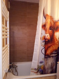chamois3