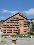 Soldanelles
