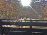 _clients_210560001_photos_10540o_3448614