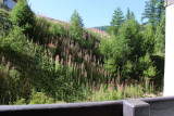 _clients_210560001_photos_10771m_1987652