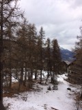 img-0006-11669