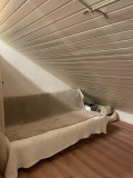img-1449-463378