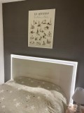 img-1452-463377