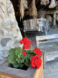 img-3322-1882808