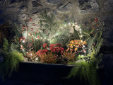 img-5215-1882810