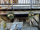 img-5219-1882811