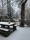 img-5751-1882812