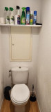 risoul-resa-balcons-de-sirius-309-toilette-2929291