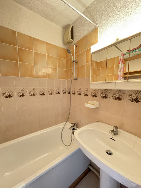 risoul_hebergement_century21_slp_immobilier_Edelweiss A 42_salle de bain risoul_hebergement_century21_slp_immobilier_Edelweiss A 42_salle de bain