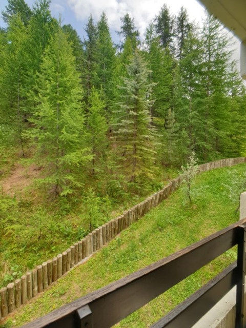 risoul_hebergement_century21_slp_immobilier_diamantc67_vue_exterieure_ete1 risoul_hebergement_century21_slp_immobilier_diamantc67_vue_exterieure_ete1