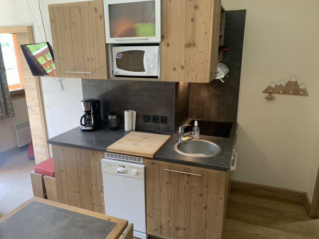 risoul_hebergement_century21_slp_immobilier_antares302_ risoul_hebergement_century21_slp_immobilier_antares302_