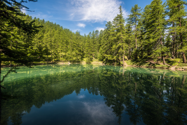 Yoga nature au près du laus avec Kamila_Risoul