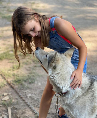Le Mercredi des enfants : A la découverte des chiens de Traineaux_Risoul