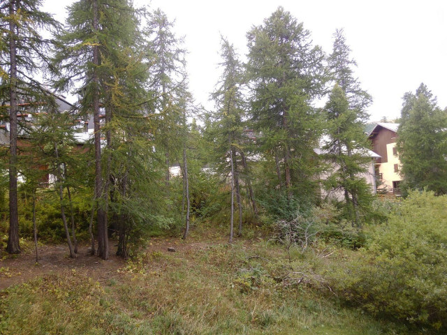 _clients_210560001_photos_10398l_2732941