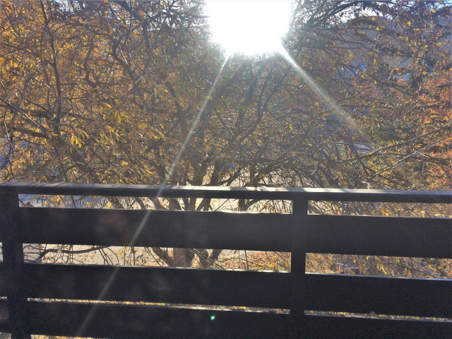 _clients_210560001_photos_10540o_2781859