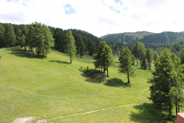 _clients_210560001_photos_10585x_1646134 _clients_210560001_photos_10585x_1646134