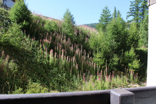 _clients_210560001_photos_10771m_2369616