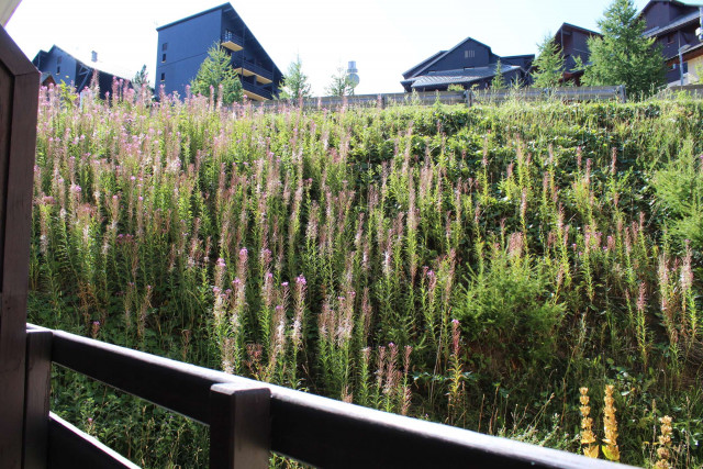 _clients_210560001_photos_10771n_2641545