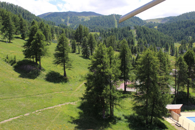 _clients_210560001_photos_11068k_2351952