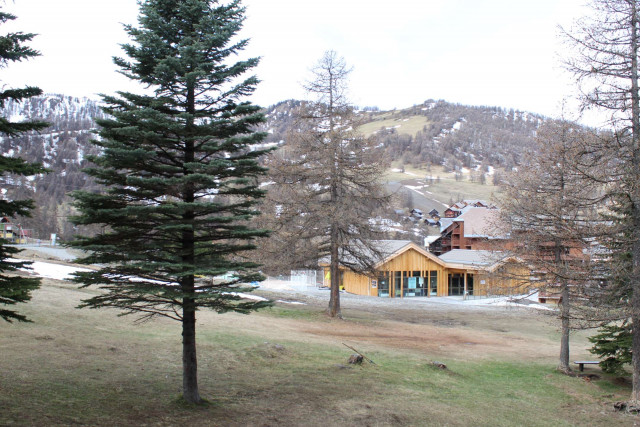 _clients_210560001_photos_14159i_2607444