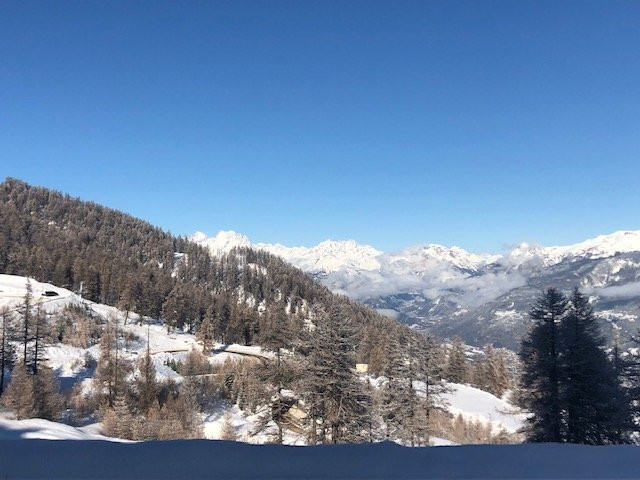 _clients_210560001_photos_14201k_2369880