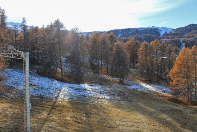 _clients_210560001_photos_15409l_2356739