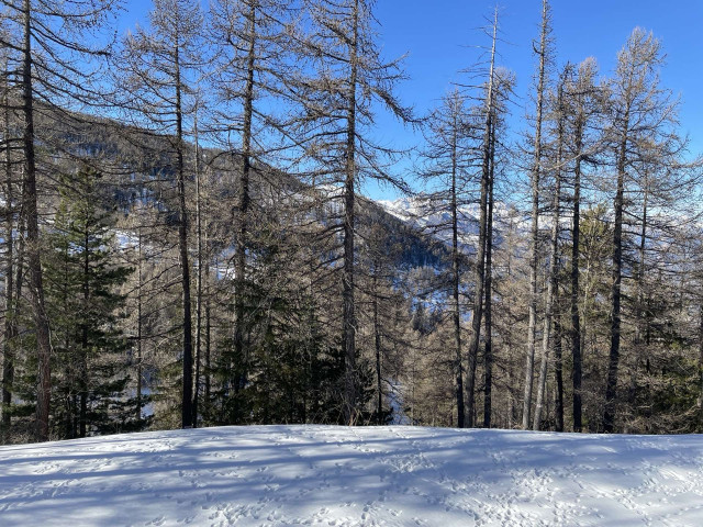 _clients_210560001_photos_16190r_2260599