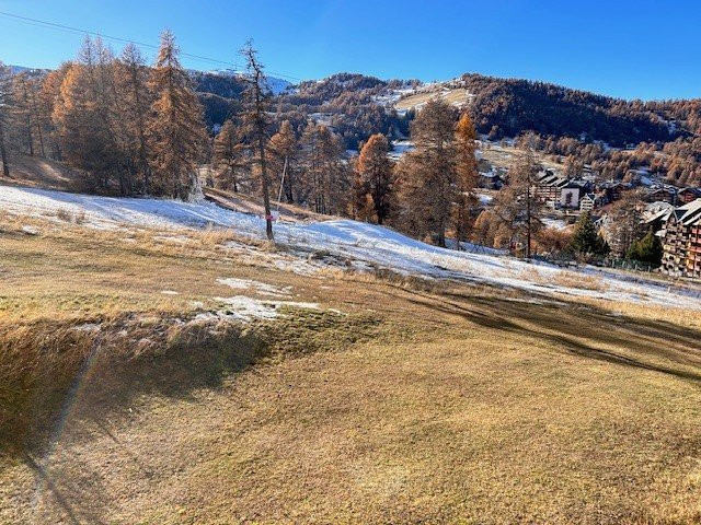 _clients_210560001_photos_19651s_2895651