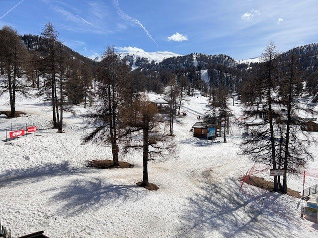 _clients_210560001_photos_21762s_2343656 _clients_210560001_photos_21762s_2343656