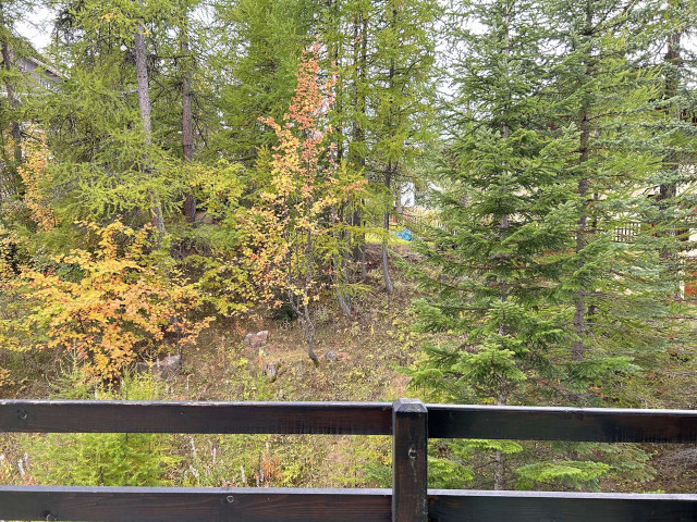 _clients_210560001_photos_25755m_2691293