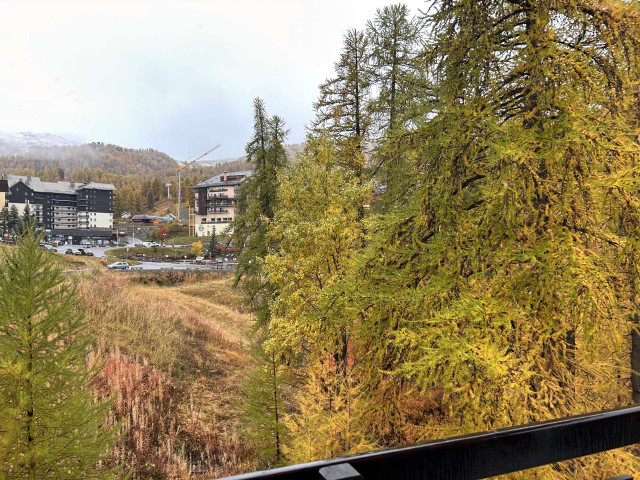 _clients_210560001_photos_26271l_2343960