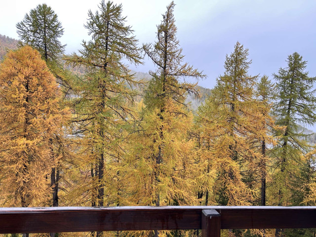 _clients_210560001_photos_26271y_3459162