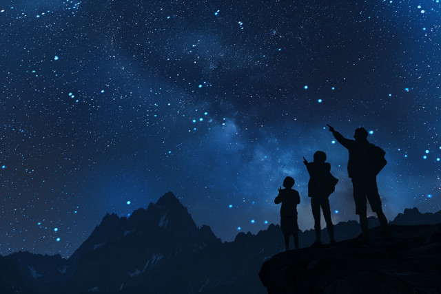 cani raquette nocturne risoul les traineaux de la foret blanche