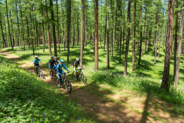 descente-vtt-famille-guillestrois-2-1160417